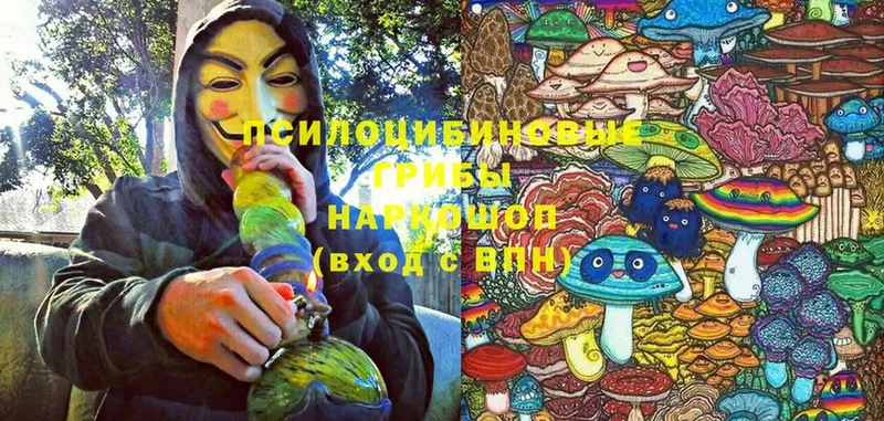 где найти наркотики  Подольск  omg вход  Псилоцибиновые грибы MAGIC MUSHROOMS 